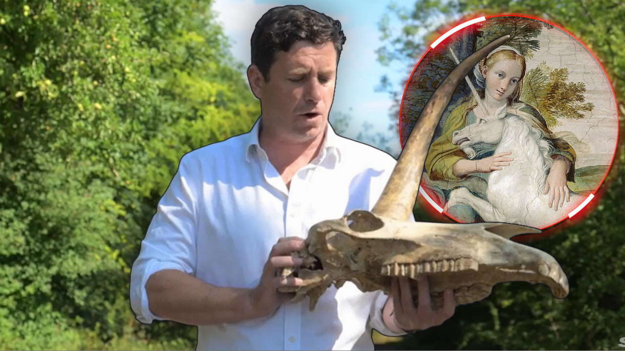 TVRDIO DA JE OTKRIO LOBANJU JEDNOROGA: Sad mu preti zatvor