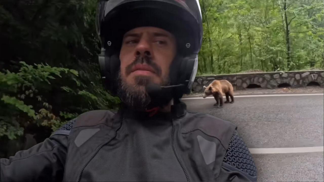 ROKVIĆ NALETEO NA MEDVEDA: Izleteo na put, a on - snima