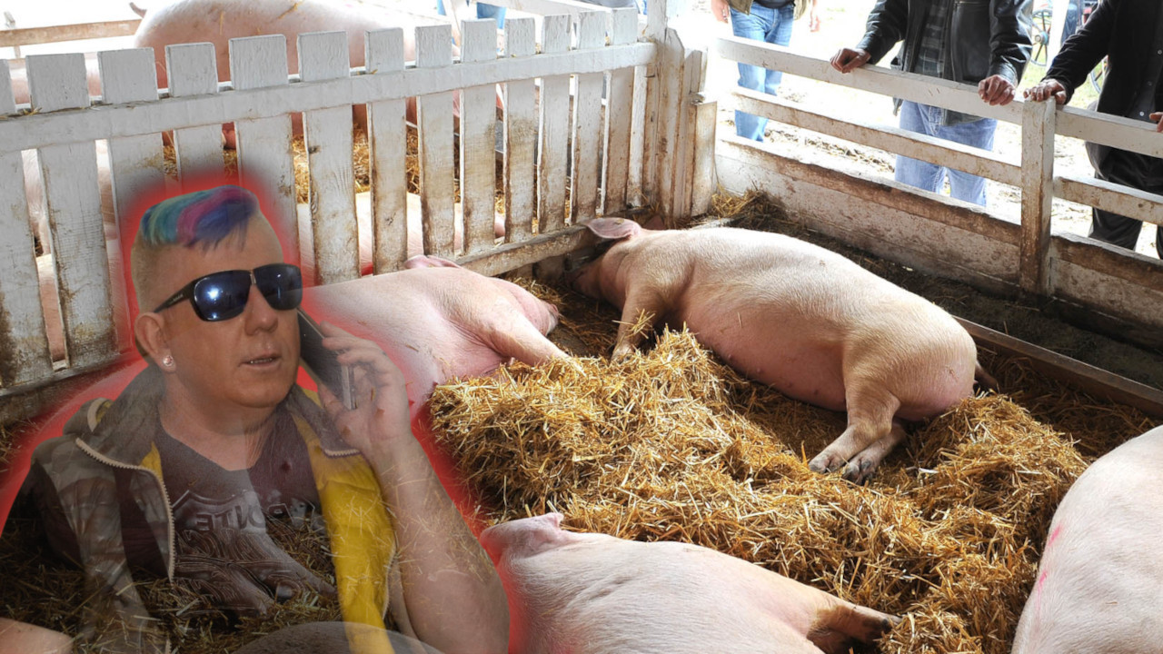 DJ Krmak otkazao koncert zbog SVINJSKE KUGE