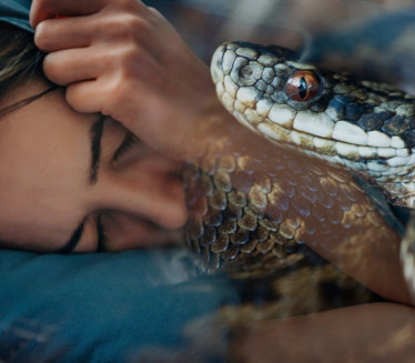 SANJALI STE ZMIJU? Frojd i Jung otkrivaju skriveno značenje