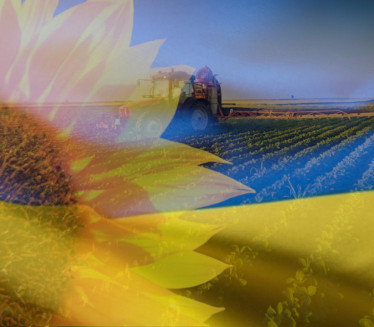 KATASTROFA U UKRAJINI Opustošeni usevi, izgubljena 1/3prinosa