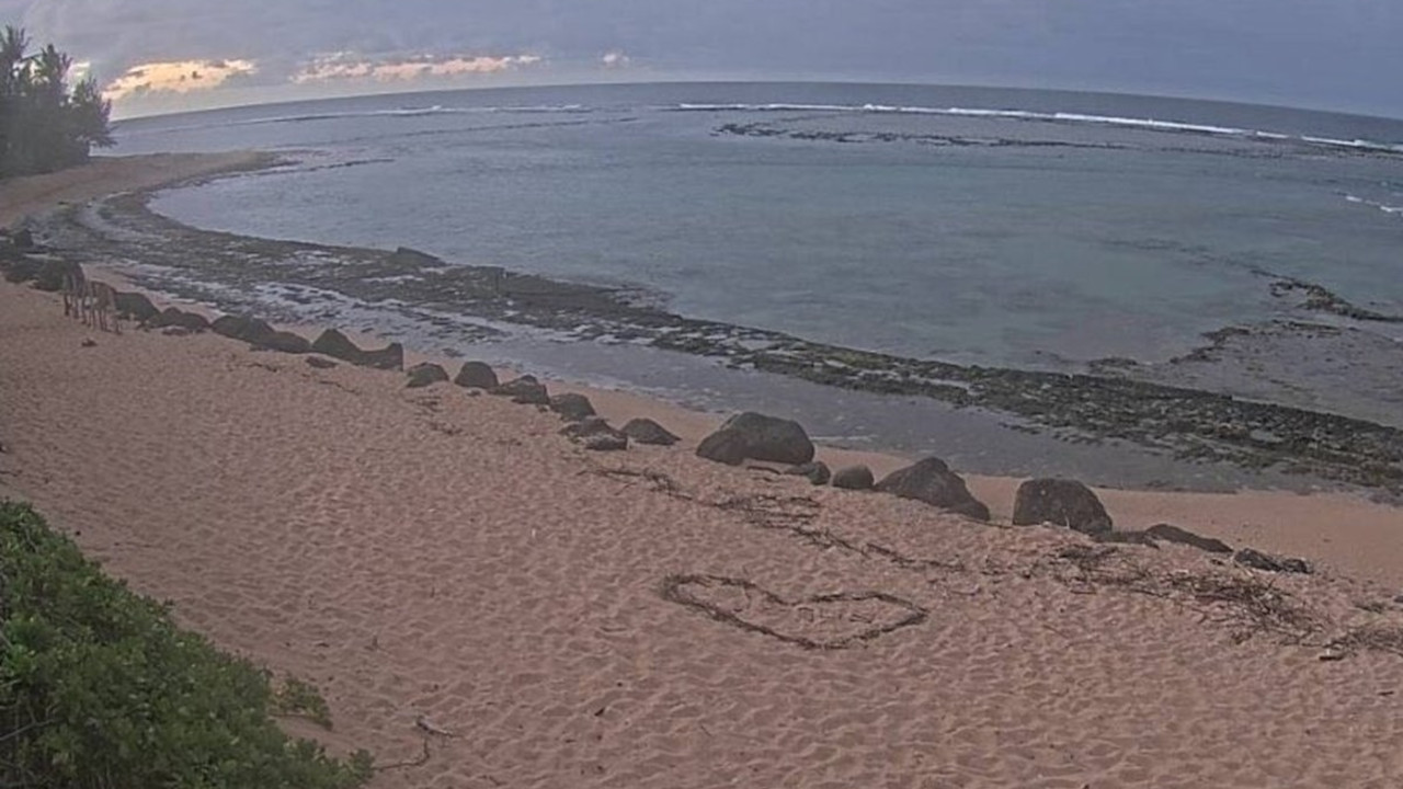 JEZIV SNIMAK: More se naglo povuklo - samo je "nestalo"