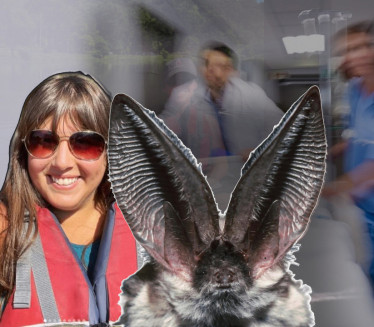 SLEPI MIŠ JOJ ULETEO U USTA: Mora da plati preko 200.000din