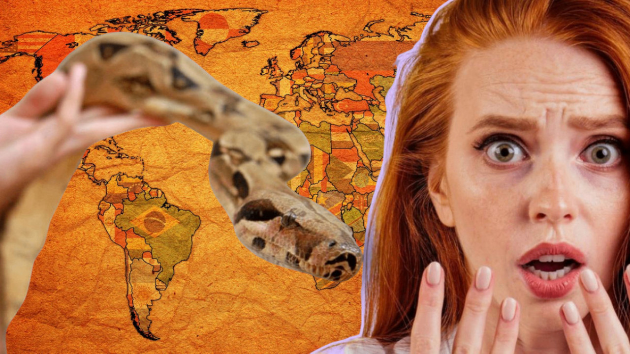 1 UJED - UBIJA 100 LJUDI: Koje su najopasnije zmije sveta?