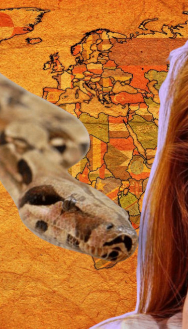 1 UJED - UBIJA 100 LJUDI: Koje su najopasnije zmije sveta?