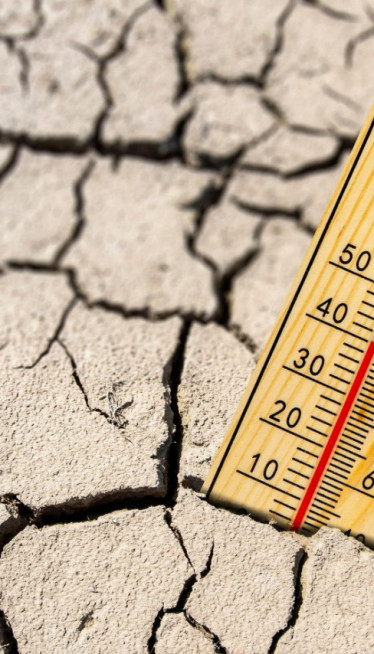 "Puca" živa Evrope: 50° C - granica će biti probijena