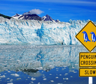 ЗАСТРАШУЈУЋ, АЛИ НЕ ГРИЗЕ На дну мора огромно створење ВИДЕО