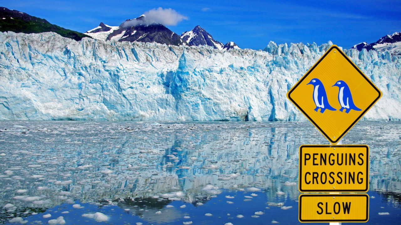 ZASTRAŠUJUĆ, ALI NE GRIZE Na dnu mora ogromno stvorenje VIDEO