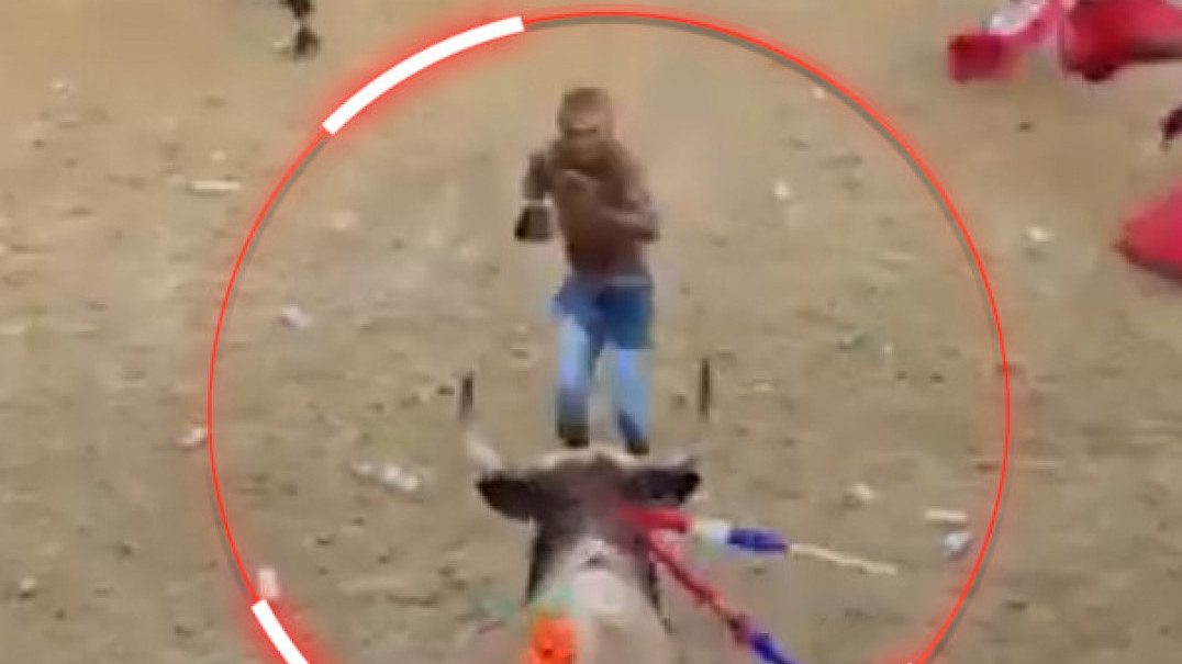 UZNEMIRUJUĆE: Zatrčao se na bika, ovaj ga dočekao na rogove