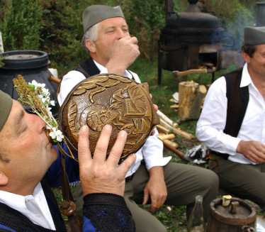 Sa kojim narodom Srbi dele najviše genetskog materijala