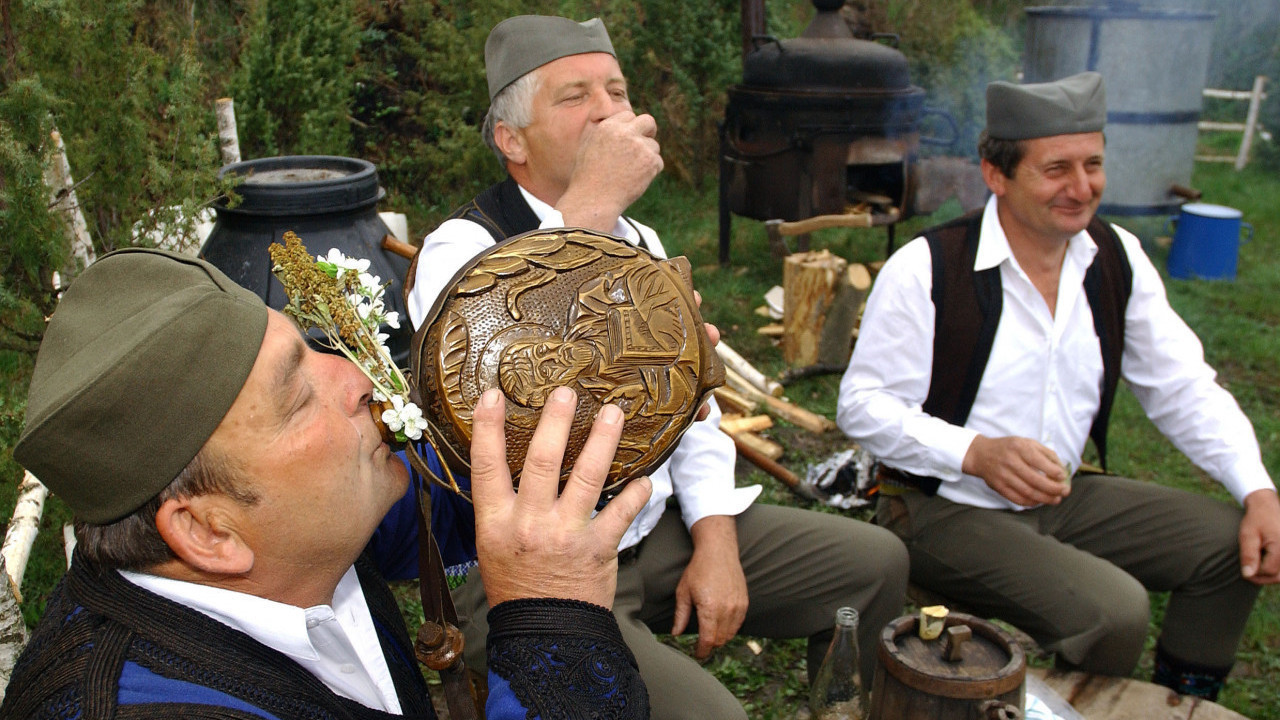 Sa kojim narodom Srbi dele najviše genetskog materijala