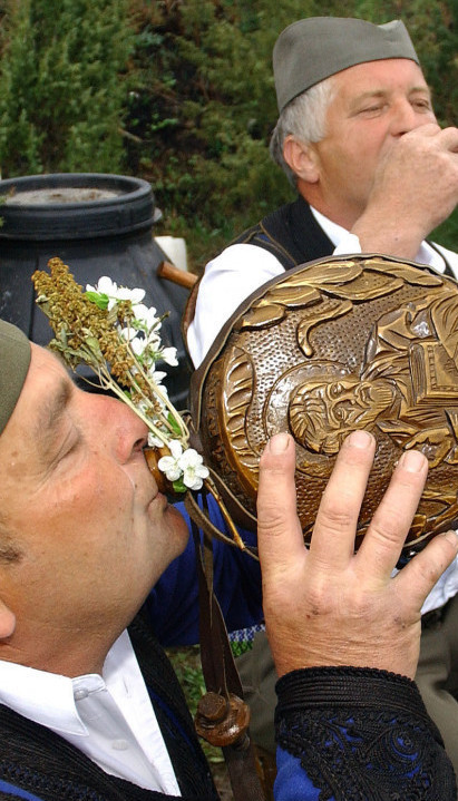 Sa kojim narodom Srbi dele najviše genetskog materijala