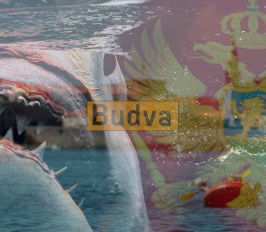 СТЕВАНА УБИЛА АЈКУЛА ОД 6,5m: На мајици имао датум смрти