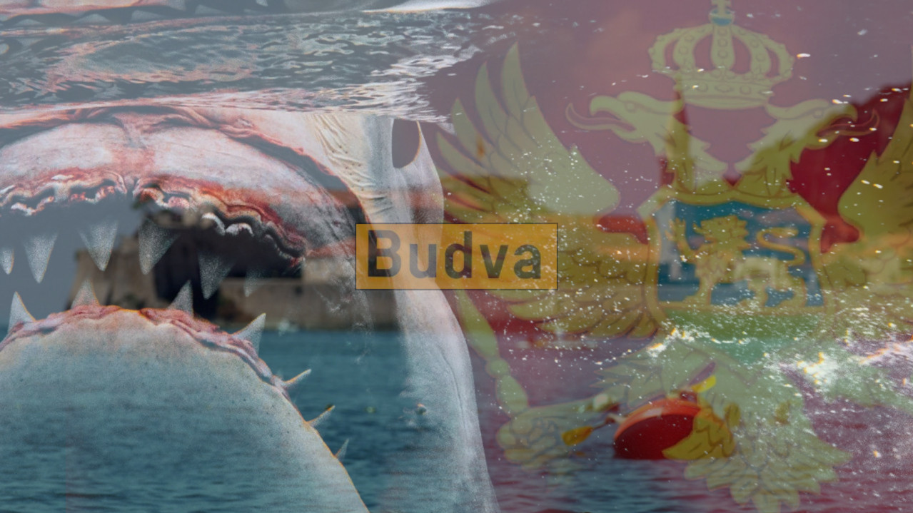 STEVANA UBILA AJKULA OD 6,5m: Na majici imao datum smrti