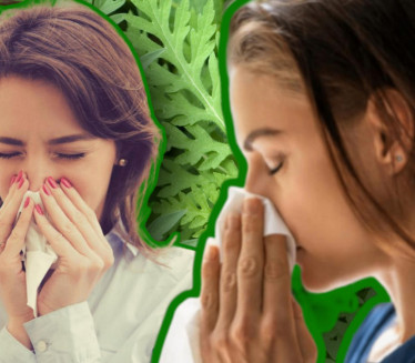 АЛЕРГИЈА НА АМБРОЗИЈУ: Како је најлакше препознати и лечити?