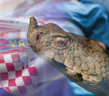 Poskok ujeo dečaka (7) u HRV - roditelji mislili da je PAO