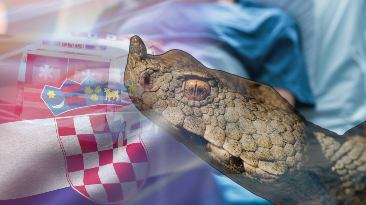 Poskok ujeo dečaka (7) u HRV - roditelji mislili da je PAO