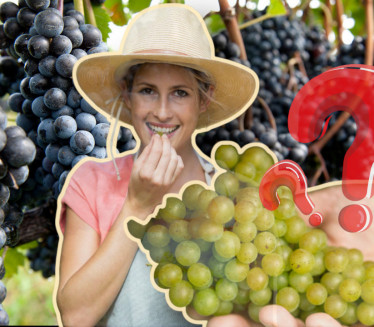 КОЈЕ ЈЕ ЗДРАВИЈЕ? Ово је разлика између црног и белог грожђа