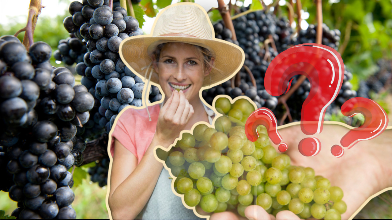 KOJE JE ZDRAVIJE? Ovo je razlika između crnog i belog grožđa