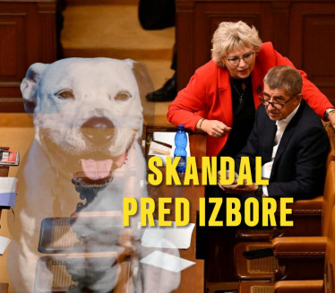 СКАНДАЛ ПРЕД ИЗБОРЕ Оптужена да је наручила УБИСТВО ПСА