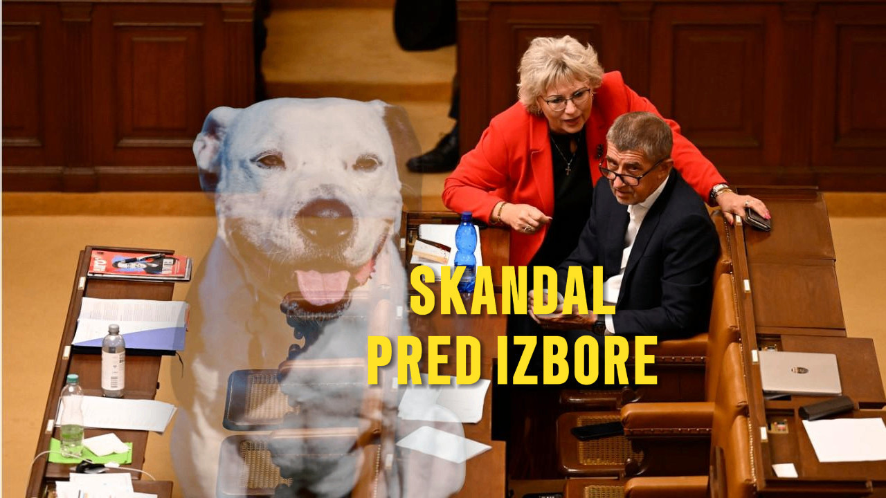 SKANDAL PRED IZBORE Optužena da je naručila UBISTVO PSA