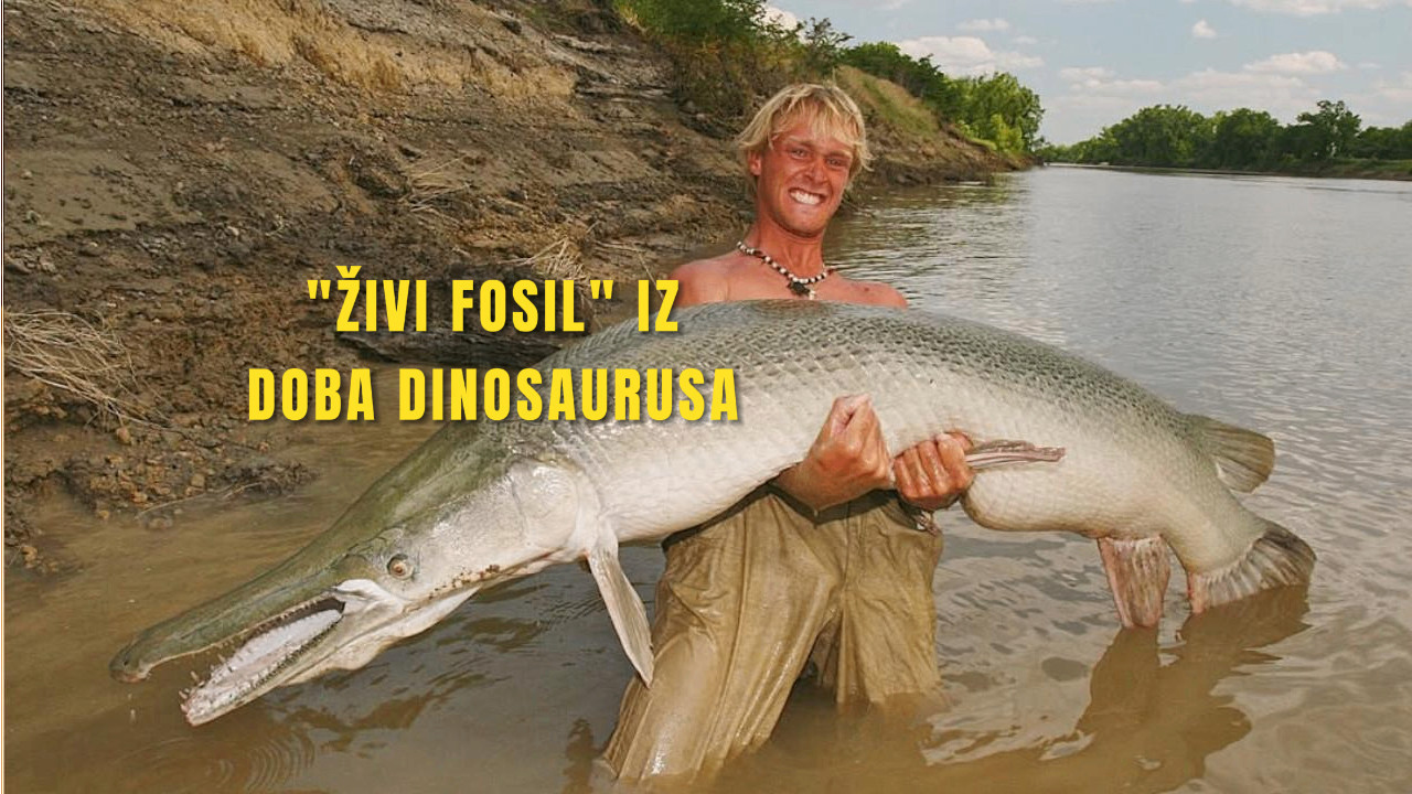 ZASTRAŠUJUĆE: Upecao veoma retku ribu iz doba dinosaurusa