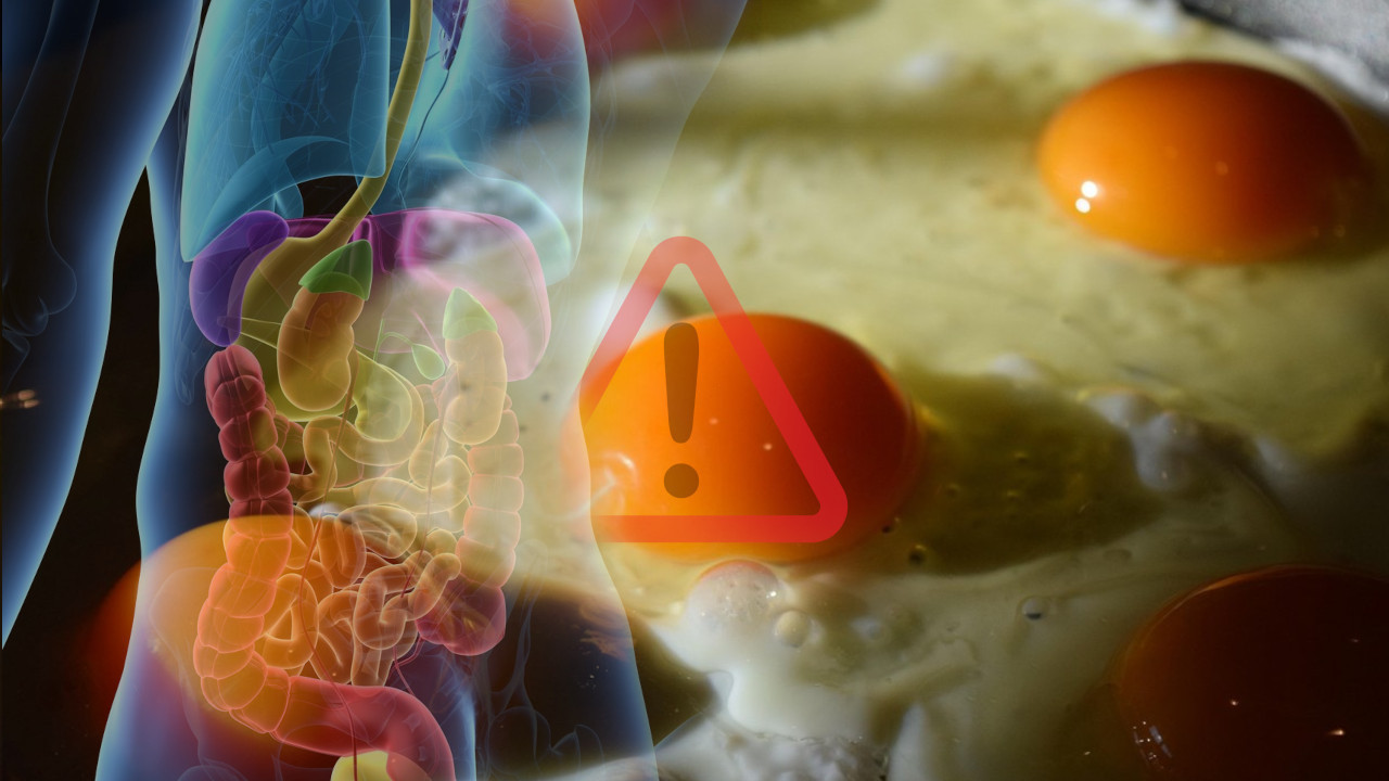 Шта се дешава са телом ако једете јаја сваког дана?