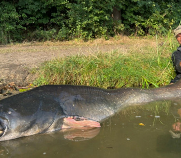 Ulovio soma od 2,68 M - a sada je NADMAŠIO sebe!