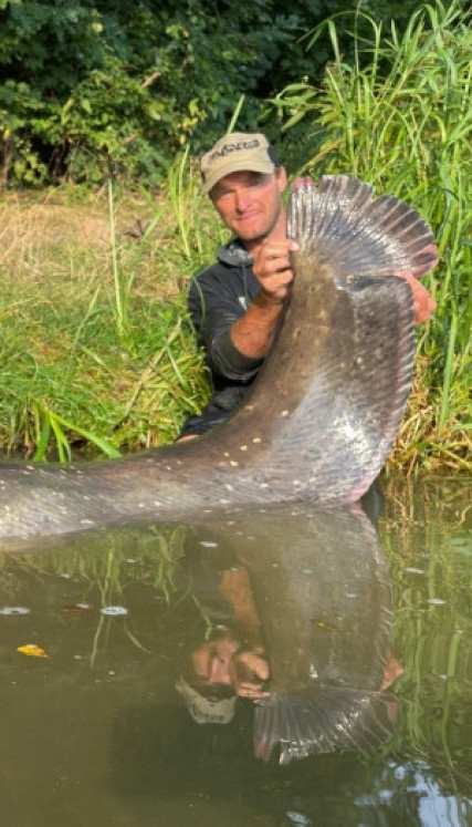 Уловио сома од 2,68 М - а сада је НАДМАШИО себе!