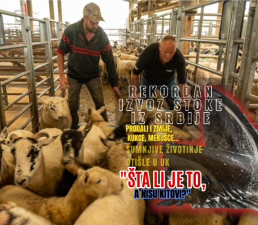 REKORDAN IZVOZ STOKE U BiH, CG, Albaniju... Sumnjiv dil u UK