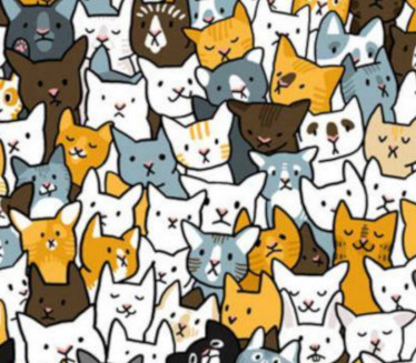 GDE JE ZEC? Prosečna osoba ga nađe za pet sekundi, a vi?