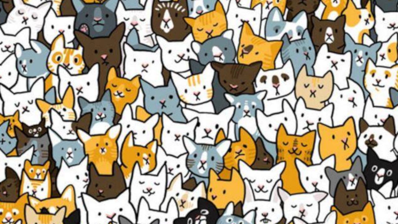 GDE JE ZEC? Prosečna osoba ga nađe za pet sekundi, a vi?