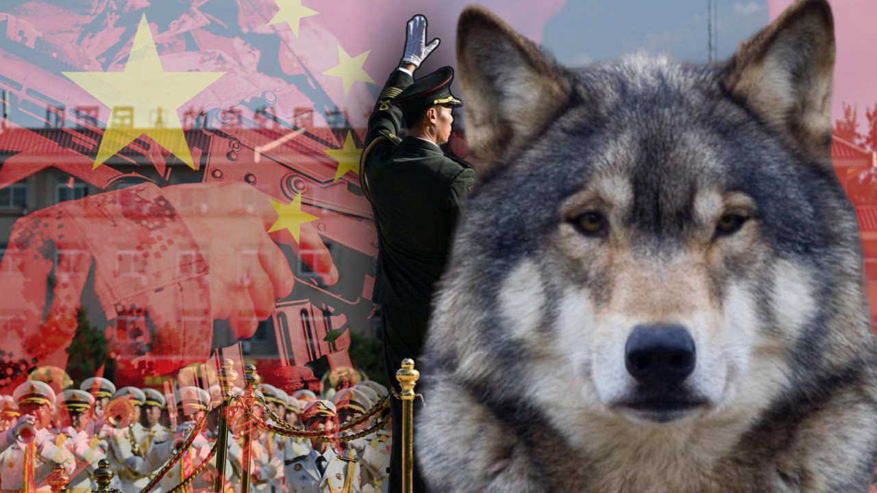 NOVO KINESKO ORUŽJE: Od "robota vukova" nema spasa (FOTO)