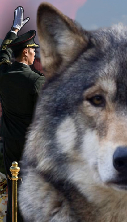 НОВО КИНЕСКО ОРУЖЈЕ: Од "робота вукова" нема спаса (ФОТО)