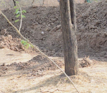 SAMO 1% JE NAŠLO LEOPARDA: Ova fotka zaludela je sve