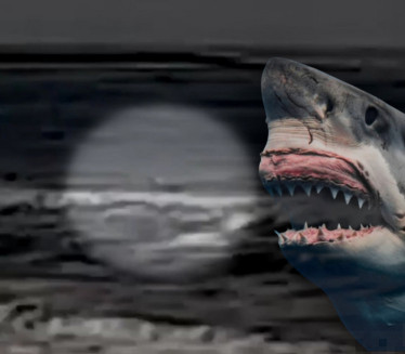 (UZNEMIRUJUĆE) Snimljeno kako je ajkula ubila čoveka