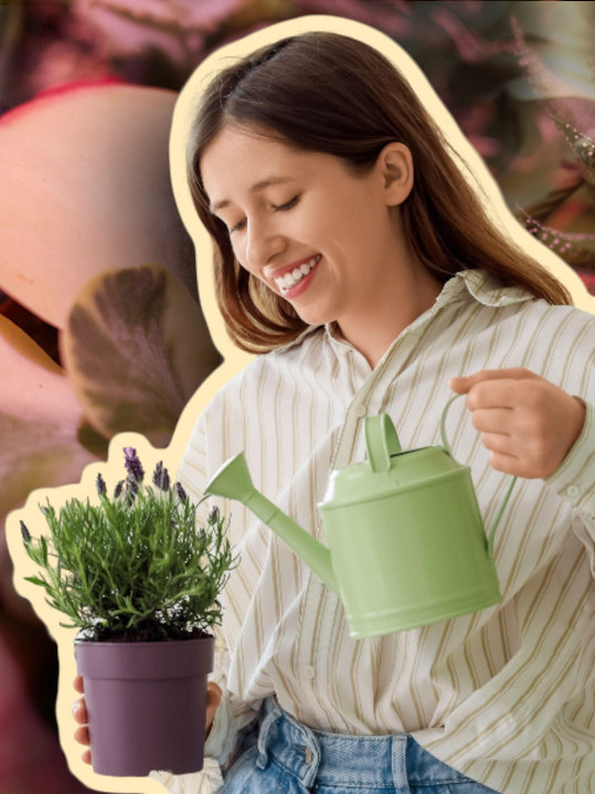 PRIVLAČI SREĆU I BOGATSTVO: Ova biljaka je magnet za novac