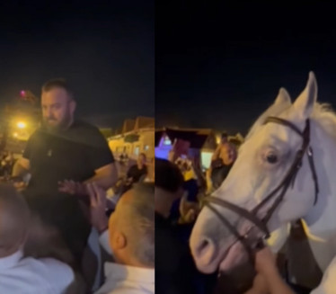 HIT VIDEO: Borko Radivojević zasvirao harmoniku na konju