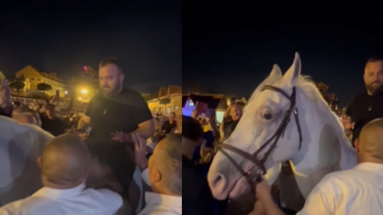 HIT VIDEO: Borko Radivojević zasvirao harmoniku na konju