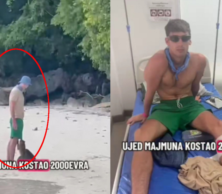 СВЕ СНИМЉЕНО: Србина ујео мајмун на Тајланду, платио 2.000€
