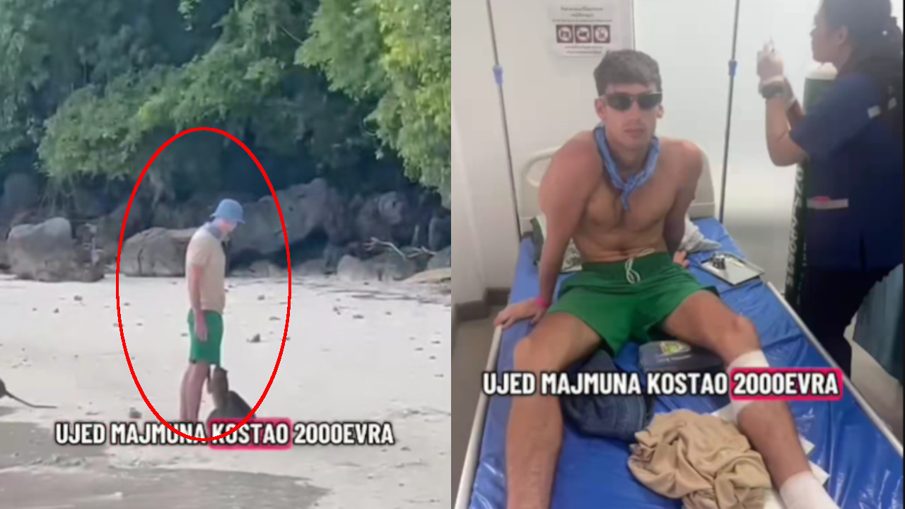 SVE SNIMLJENO: Srbina ujeo majmun na Tajlandu, platio 2.000€