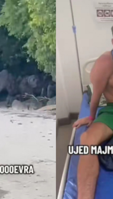 СВЕ СНИМЉЕНО: Србина ујео мајмун на Тајланду, платио 2.000€