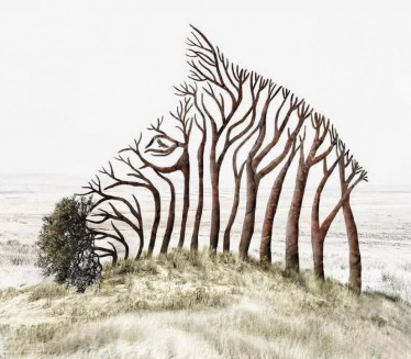 ŠTA PRVO VIDITE Odgovor otkriva jeste li snažni ili osećajni