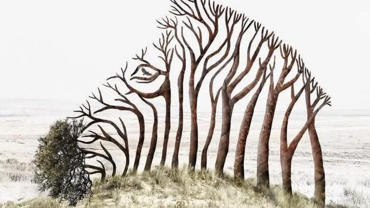 ŠTA PRVO VIDITE Odgovor otkriva jeste li snažni ili osećajni