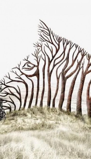 ŠTA PRVO VIDITE Odgovor otkriva jeste li snažni ili osećajni