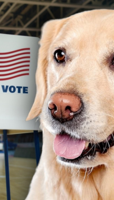 PRIJAVILA PSA ZA GLASANJE NA IZBORIMA: NJegov glas prebrojan