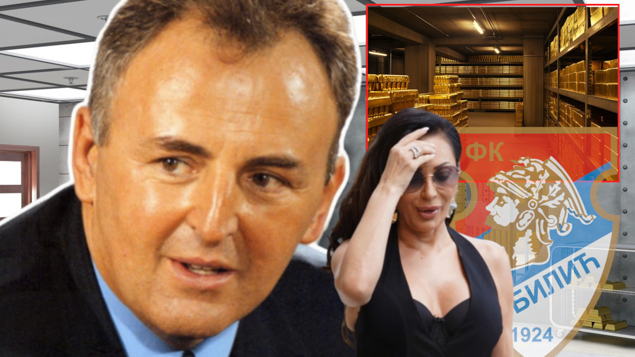 "Morala sam da prihvatim NANOGICU"