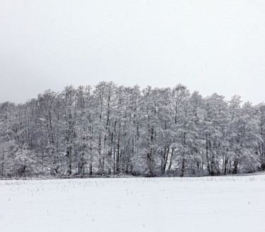 ДУГА И ХЛАДНА ЗИМА: Метеоролог најавио и Михољско лето