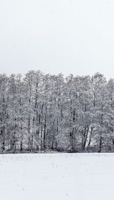 SRBIJA U "CRVENOM" RHMZ upozorava na obilne padavine i sneg