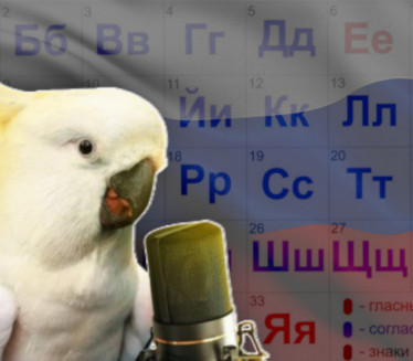 НАПРАВИО ХАОС Папагај који прича руски данима измиче хватању